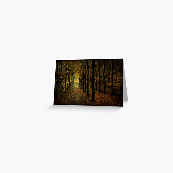 Woodland, light Greeting Card