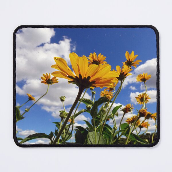 Item preview, Reaching for the Sunshine By Brandon Cable  designed and sold by BrandonArtWorld.