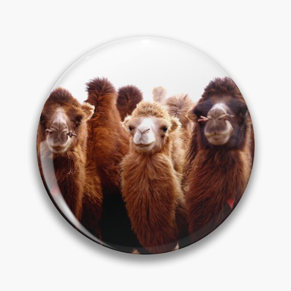Item preview, ANIMALS #106 - Three Furry Camels designed and sold by DEL-Productions.