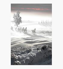 White Spirit Fotodruck