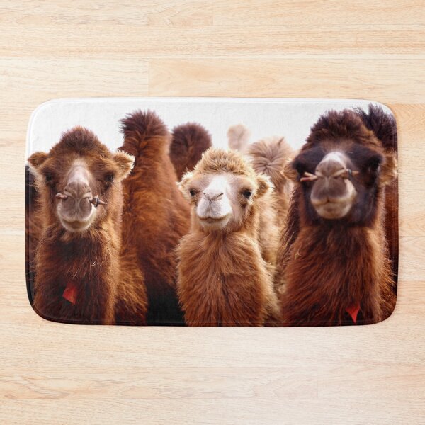 Item preview, ANIMALS #106 - Three Furry Camels designed and sold by DEL-Productions.
