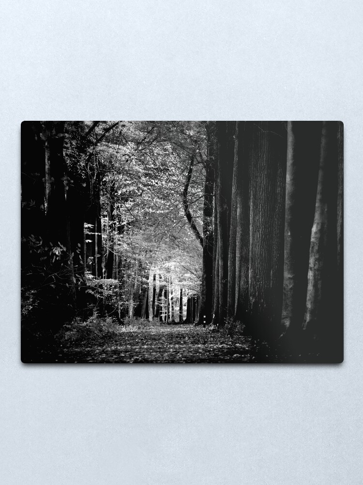 Alternate view of Light in woods b&w Metal Print