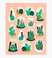 Terrariums - Cute little planters for succulents in repeat pattern by Andrea Lauren Photographic Print