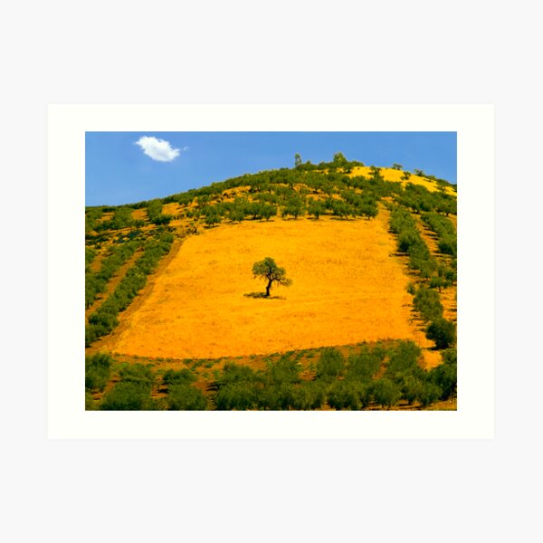 Squared tree Art Print