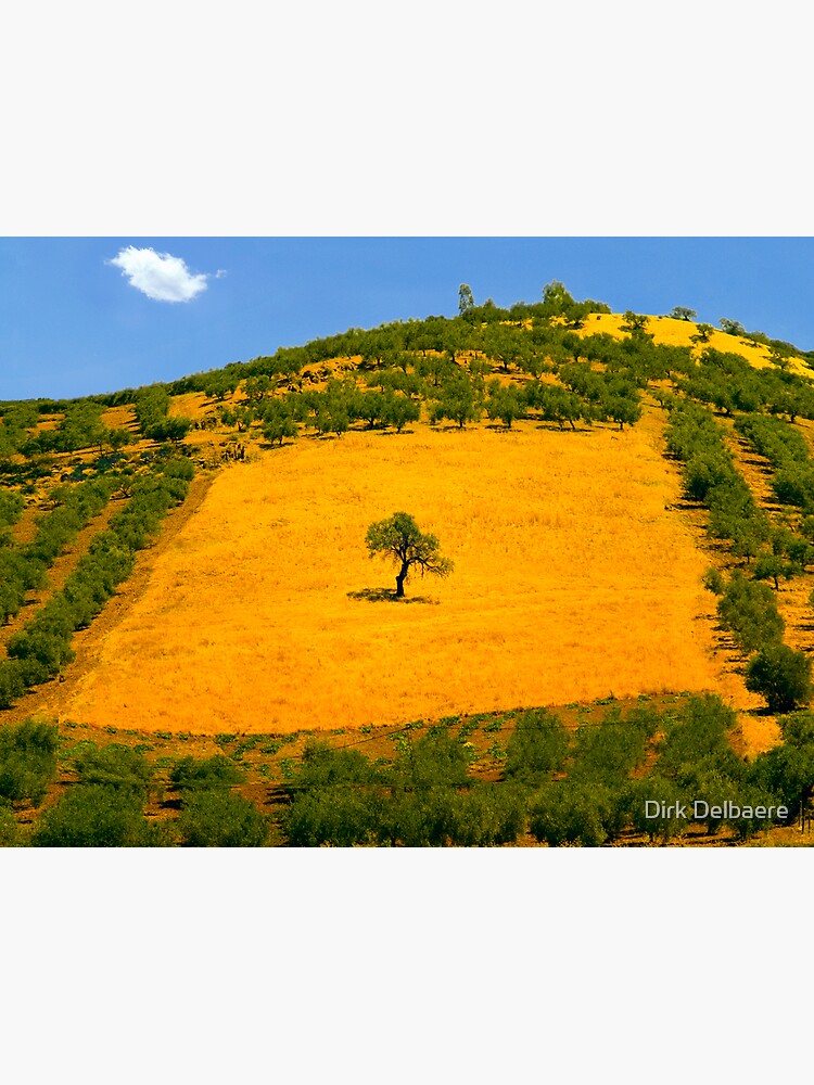 Squared tree by Delbaere