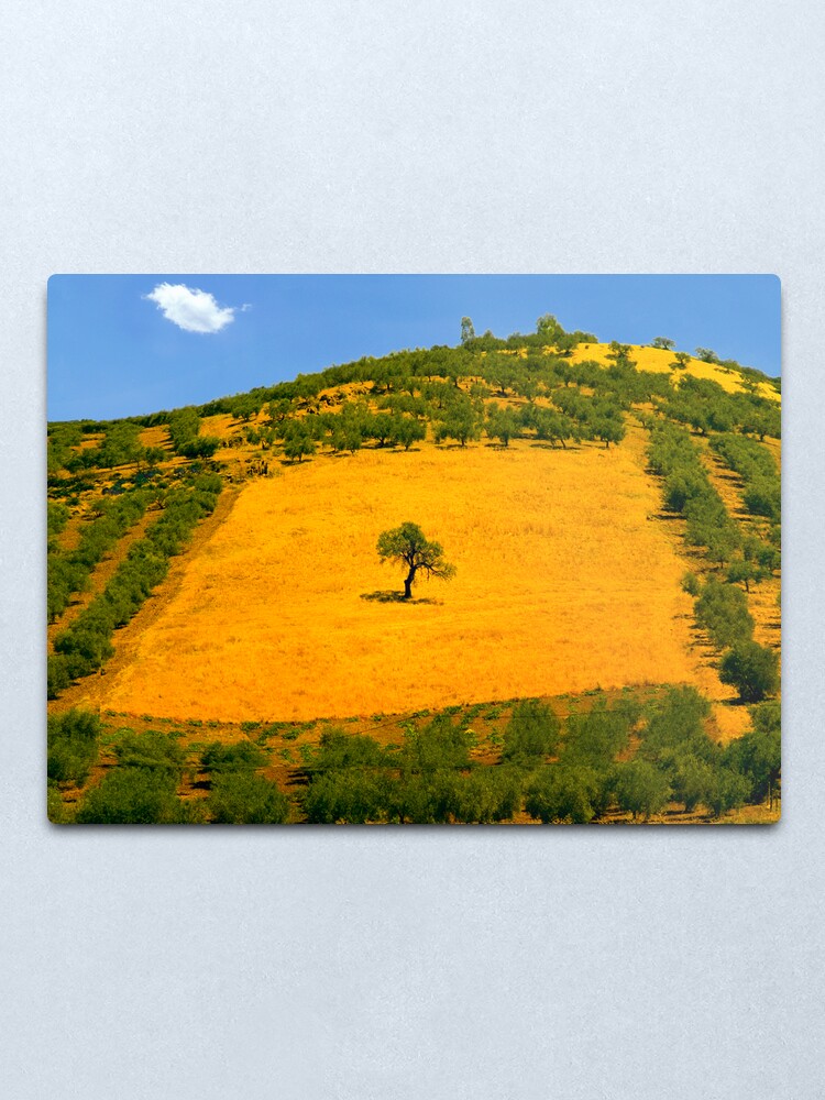 Alternate view of Squared tree Metal Print