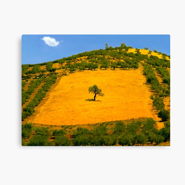 Squared tree Canvas Print