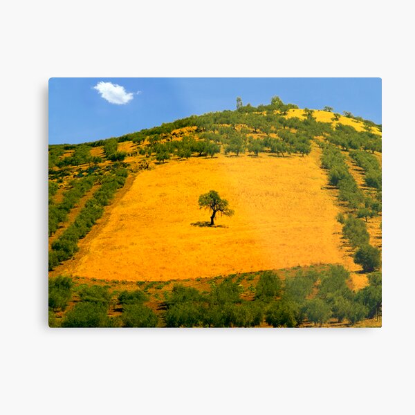 Squared tree Metal Print