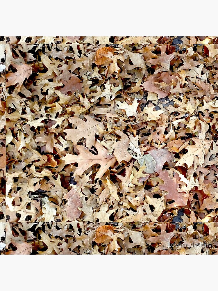 Autumn leaves by Lovemydesigns