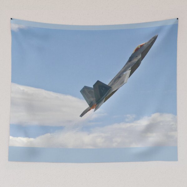 Item preview, F-22 Raptor Rapture designed and sold by ArtbyBodge.