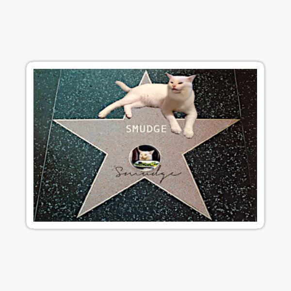 Smudge Star on the Walk of Fame. Sticker