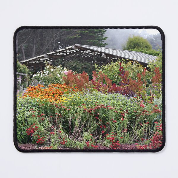 Item preview, August in the Mendocino Coast Botanical Garden designed and sold by Martha Sherman.