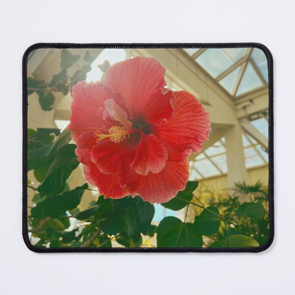 Item preview, Blooming designed and sold by http-nicole.