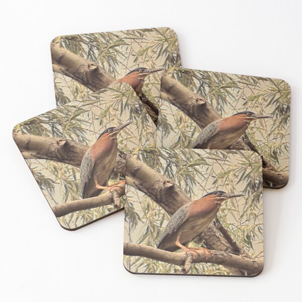 Item preview, Green Heron in Willow Tree designed and sold by MaryLinH.