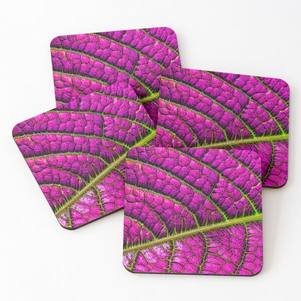 Item preview, Leaf Veins designed and sold by Natrual0903.
