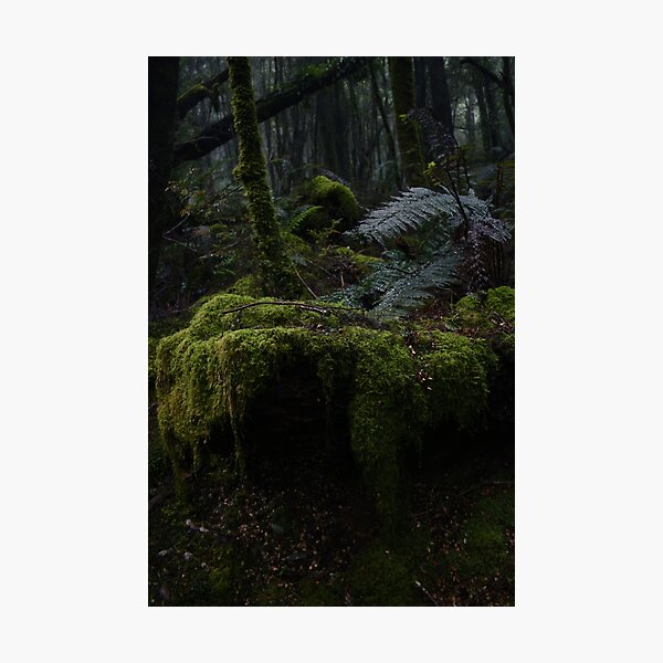Item preview, Rainforest Moss designed and sold by DylzG-Designs.