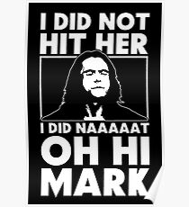 The Room Slogan I Did Not Hit Her Poster