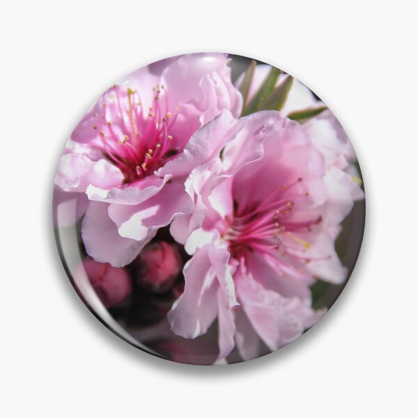 Item preview, Roses Delight designed and sold by heatherfriedman.