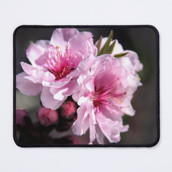 Item preview, Roses Delight designed and sold by heatherfriedman.