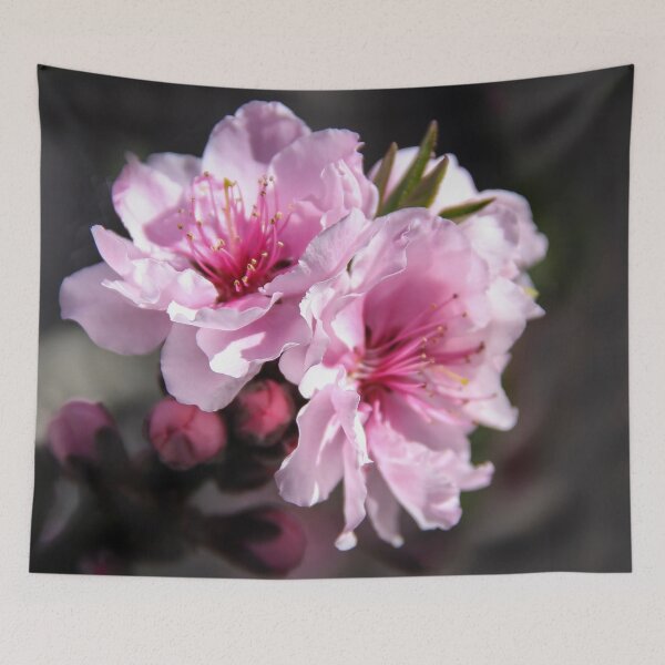 Item preview, Roses Delight designed and sold by heatherfriedman.