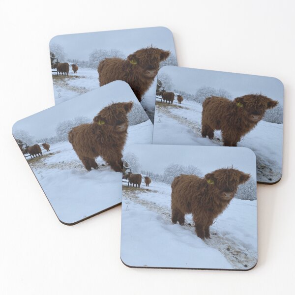 Item preview, Scottish Highland Cattle Calf 4202 designed and sold by SaarelaHighland.