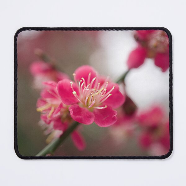 Item preview, Blossom designed and sold by Alisonchambers2.