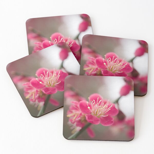 Item preview, Blossom designed and sold by Alisonchambers2.