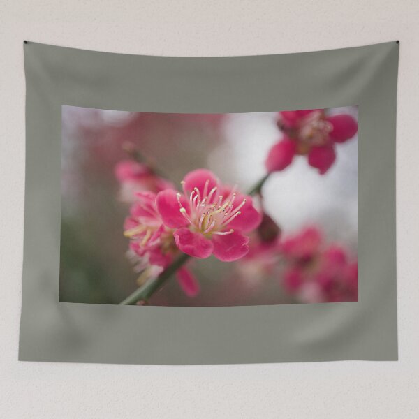 Item preview, Blossom designed and sold by Alisonchambers2.
