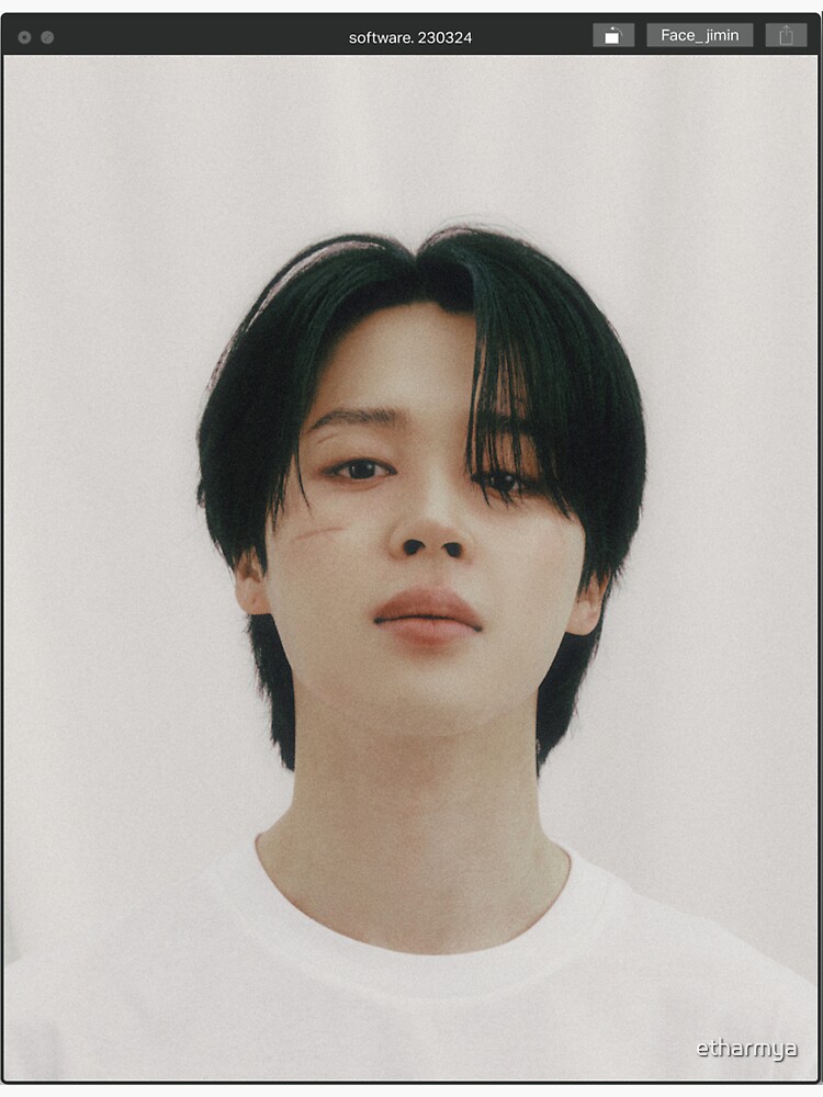 Software Jimin Face Album Sticker for Sale by etharmya