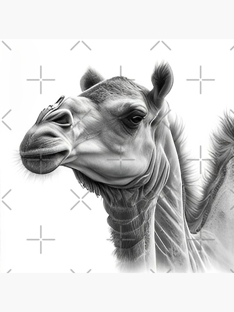 Camel black clearance and white drawing