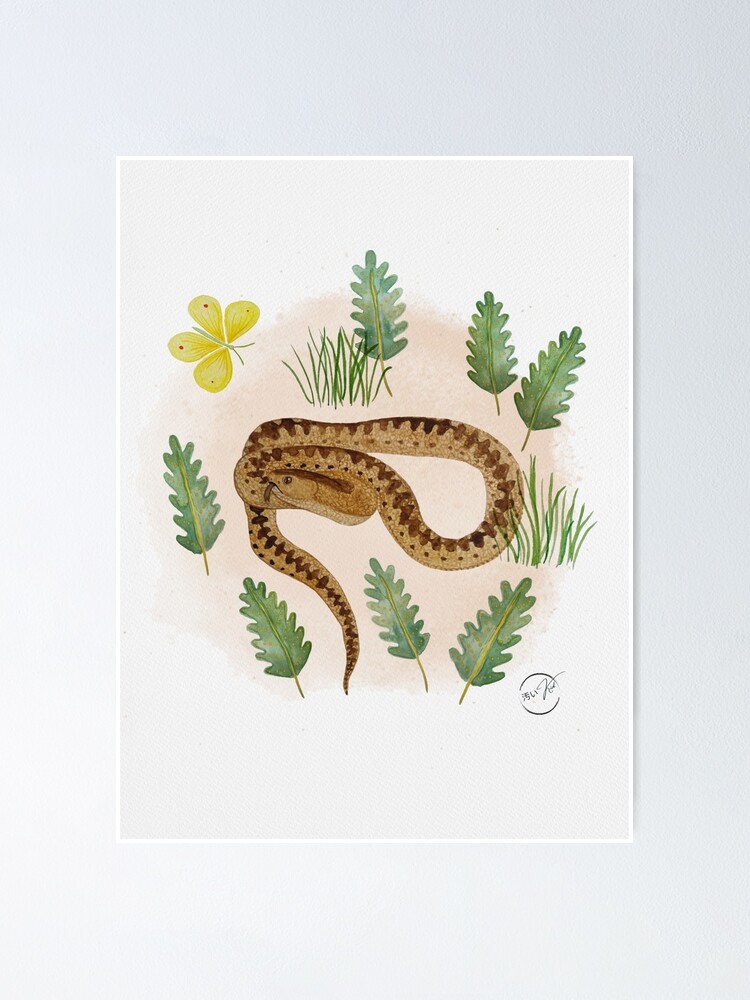 Thumbnail 1 of 3, Poster, Spring Viper - ruby designed and sold by KitanaiKid.