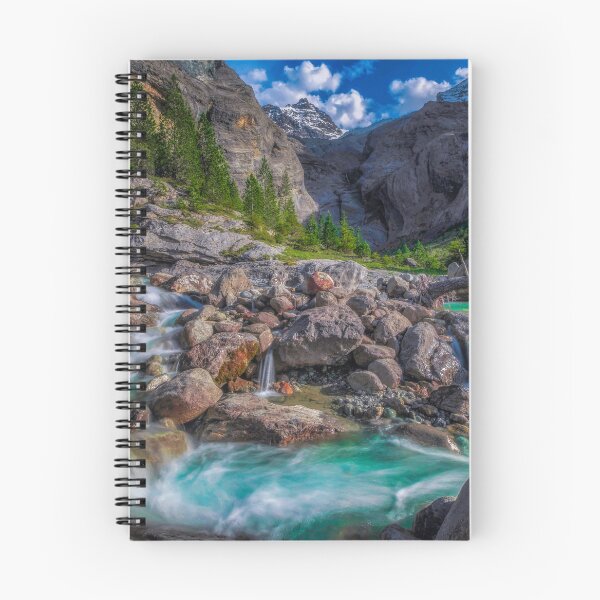 Item preview, DREAM BACH designed and sold by SSP-PRINTS.