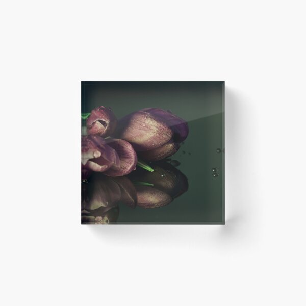 Item preview, iaht crocus wall picture designed and sold by Shadow3561.
