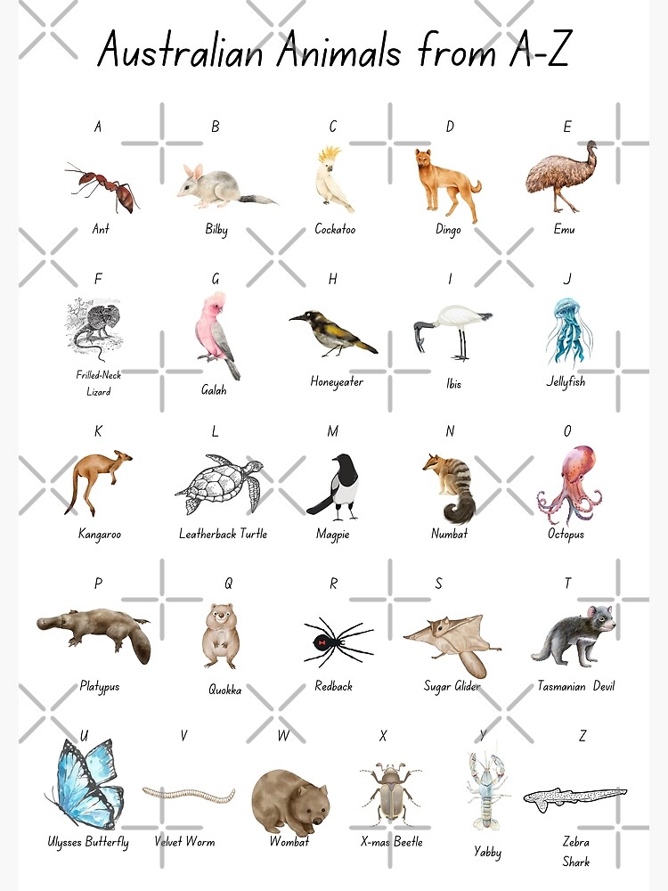 A-Z of Australian Animals A-Z of Australian Animals