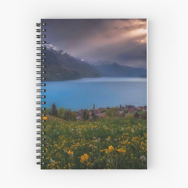 Item preview, THE CALM BEFORE THE STORM designed and sold by SSP-PRINTS.