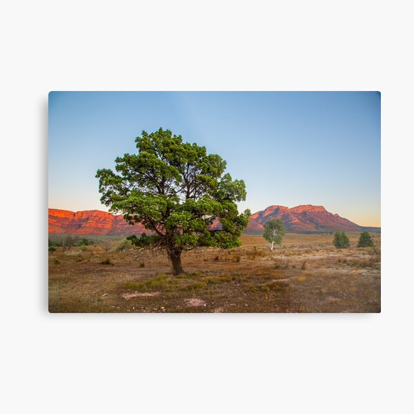 Item preview, Treein the Flinders designed and sold by Bruce Reardon.
