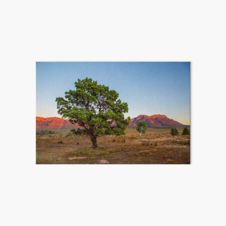 Item preview, Treein the Flinders designed and sold by Bruce Reardon.