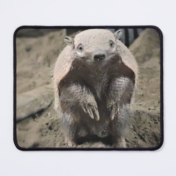 Item preview, The Creeping Armadillo designed and sold by Ladymoose.