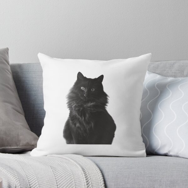 Item preview, The Black Cat designed and sold by HOUSSAM94.
