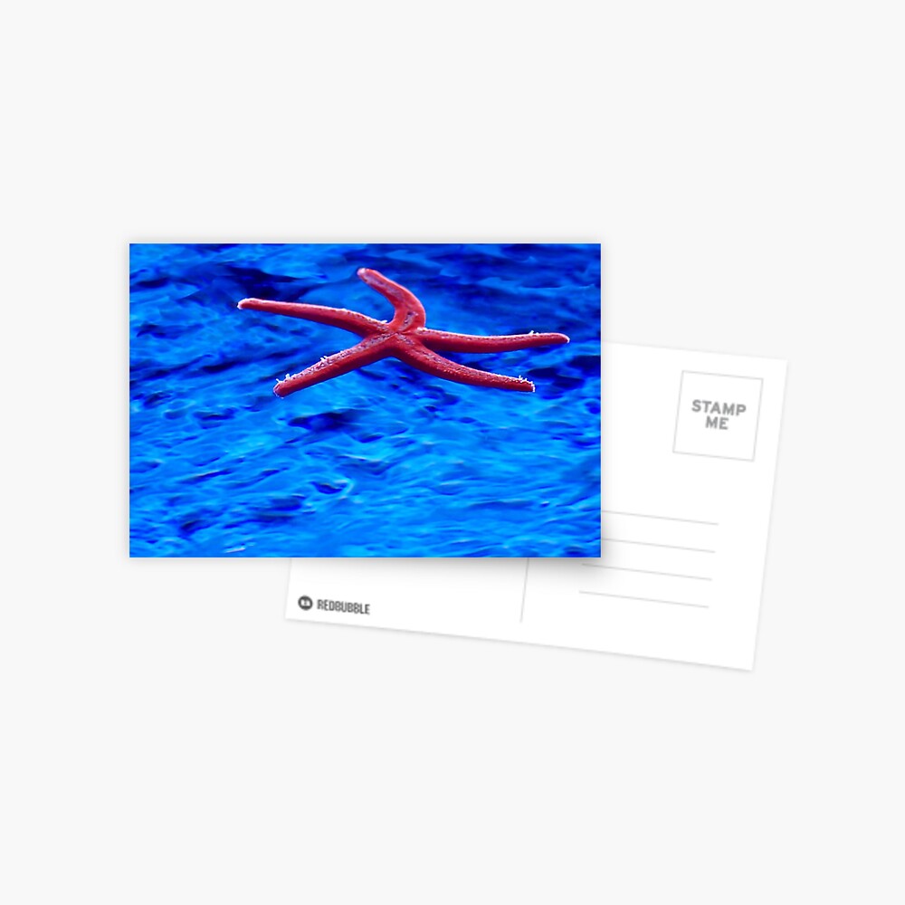 Item preview, Postcard designed and sold by DaogreerEarth.