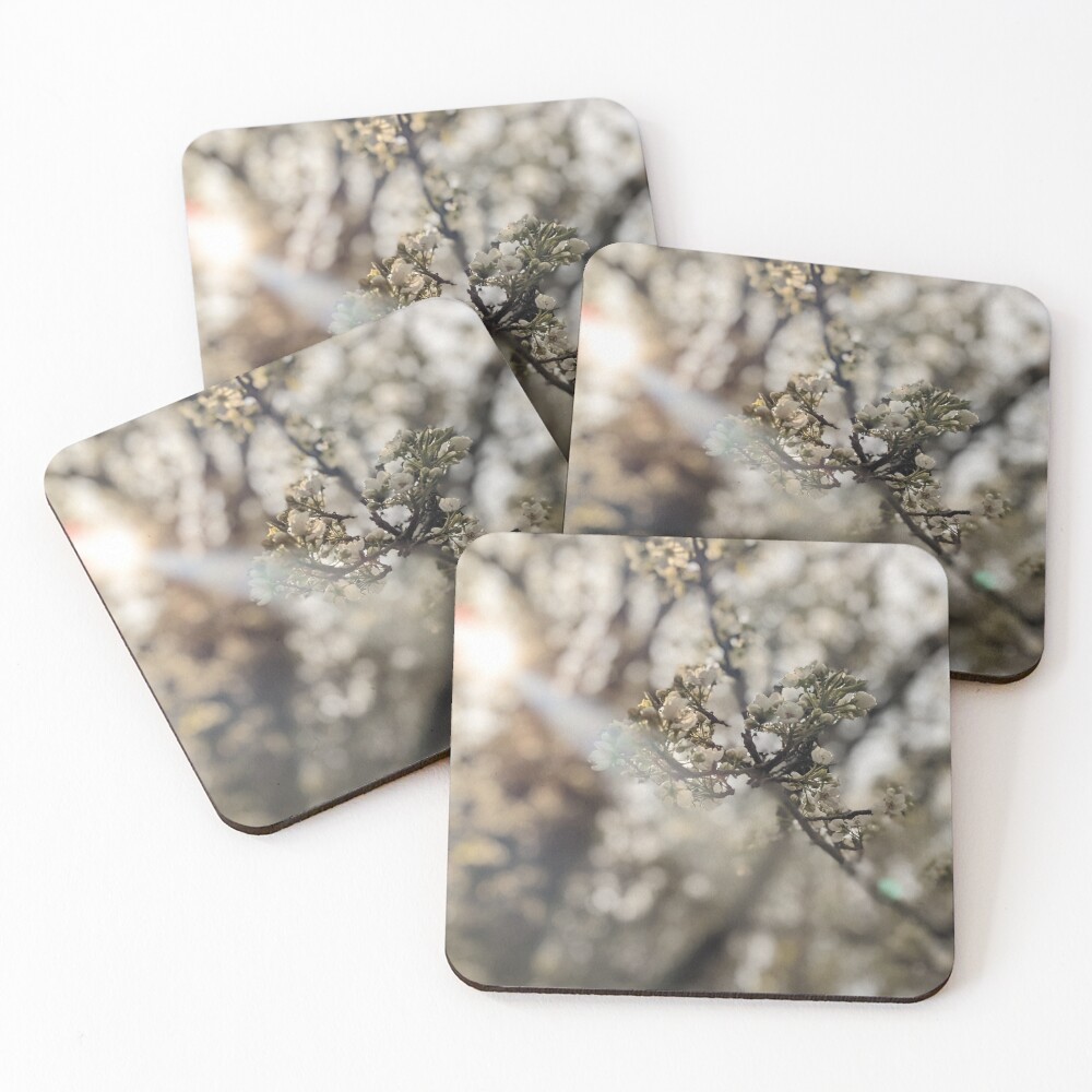 Item preview, Coasters (Set of 4) designed and sold by TheRealDanniX.