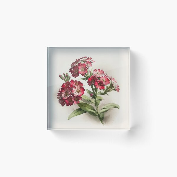 Item preview, Sweet William  designed and sold by Vanover Designs.