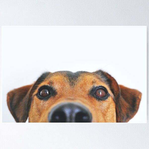 Item preview, Peeking Dog designed and sold by Design-Daily.