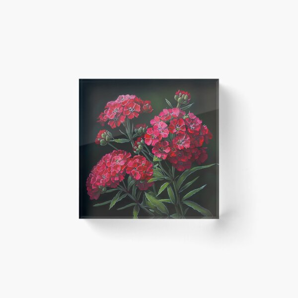 Item preview, Sweet William  designed and sold by Vanover Designs.