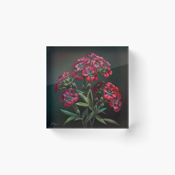 Item preview, Sweet William  designed and sold by Vanover Designs.