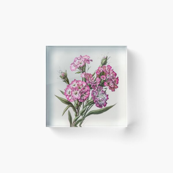 Item preview, Sweet William  designed and sold by Vanover Designs.