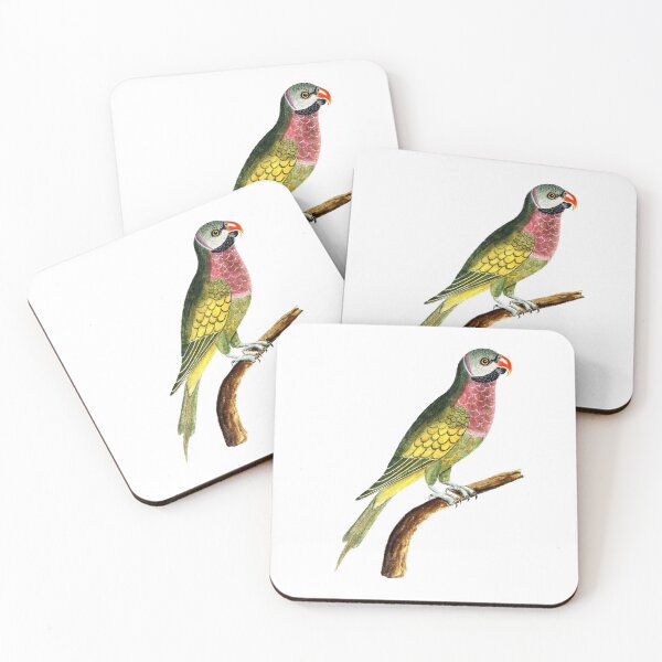 Item preview, Parrot designed and sold by Gile-Shop.