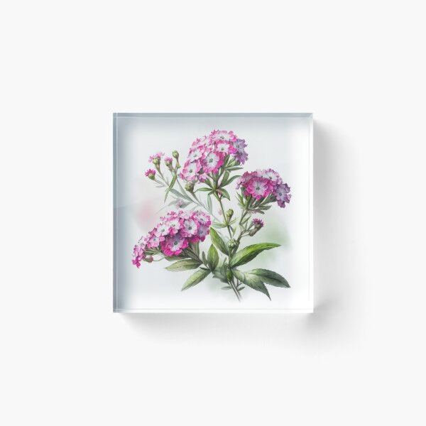 Item preview, Sweet William  designed and sold by Vanover Designs.