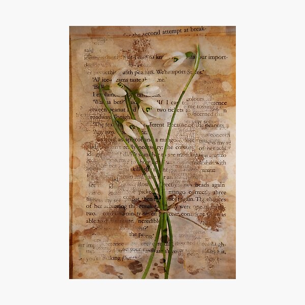Item preview, Far Away Together designed and sold by Denise Abé.