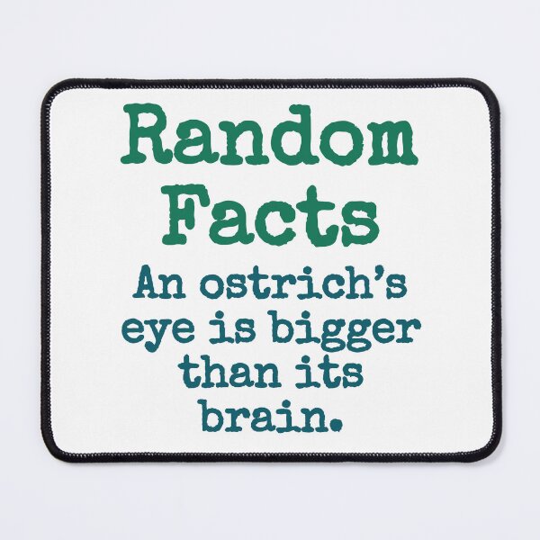 Item preview, An Ostrich's Eye Is Bigger - Trivia Fact designed and sold by CrankyOldDude.